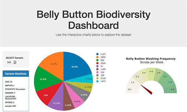 Dashboard screen shot of belly button microbia diversity